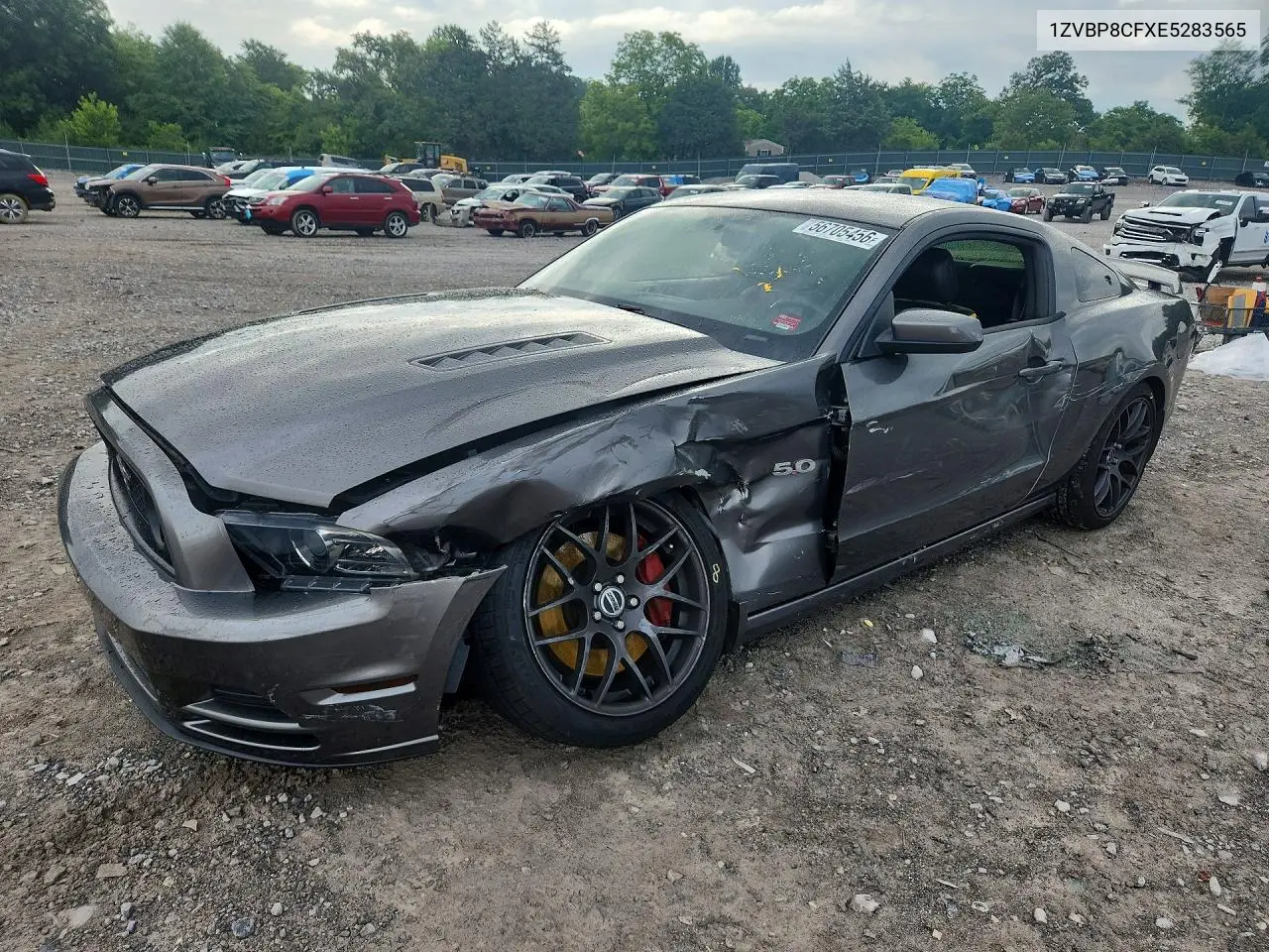 Ford Mustang (V)
