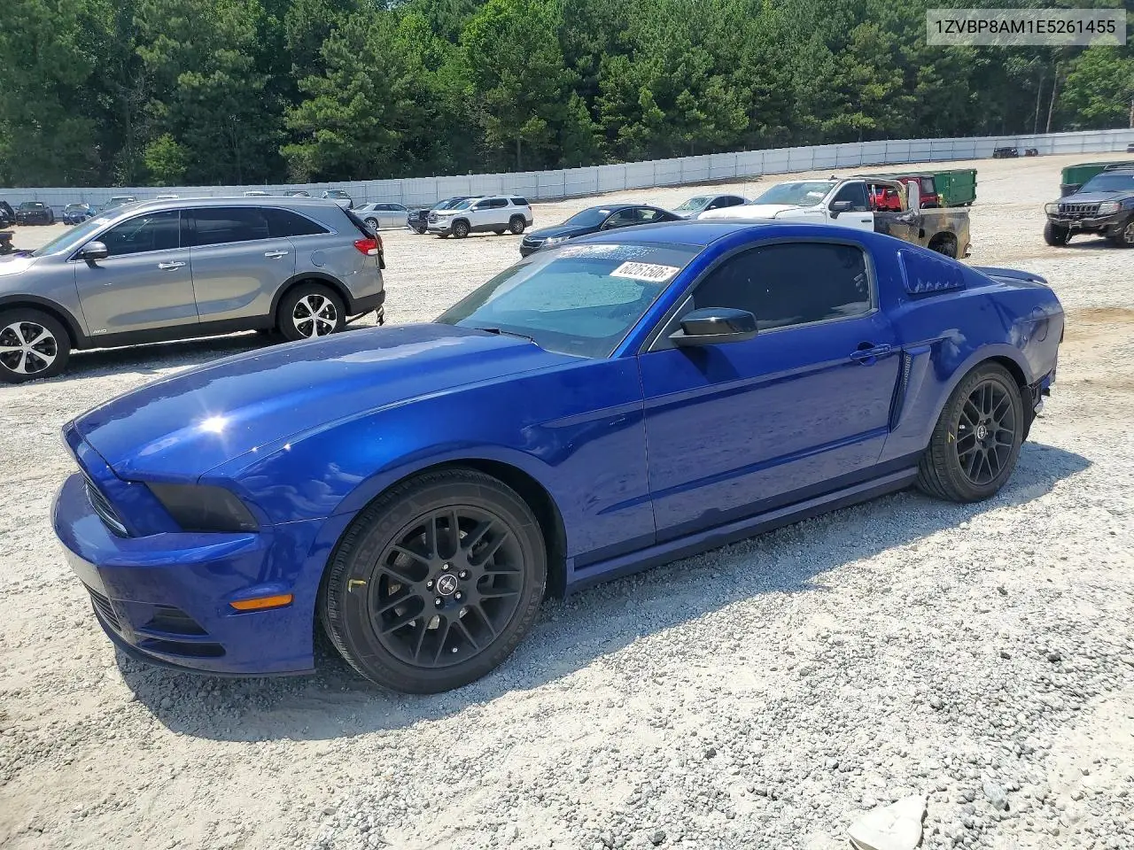 Ford Mustang (V)
