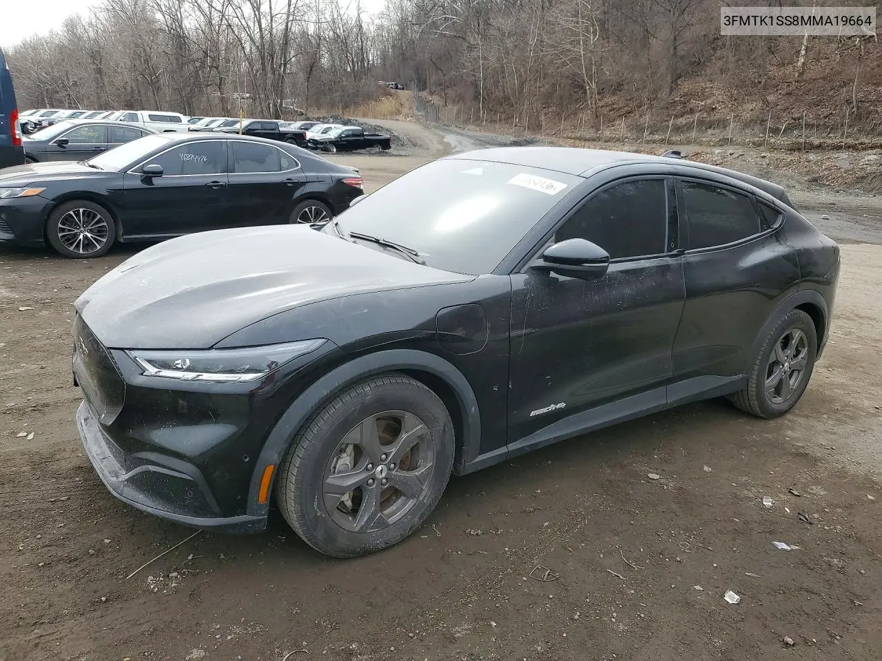 Ford Mustang Mach-E (VI)