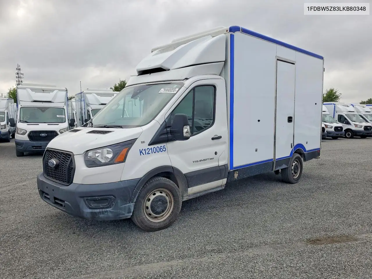 Ford Transit (II)