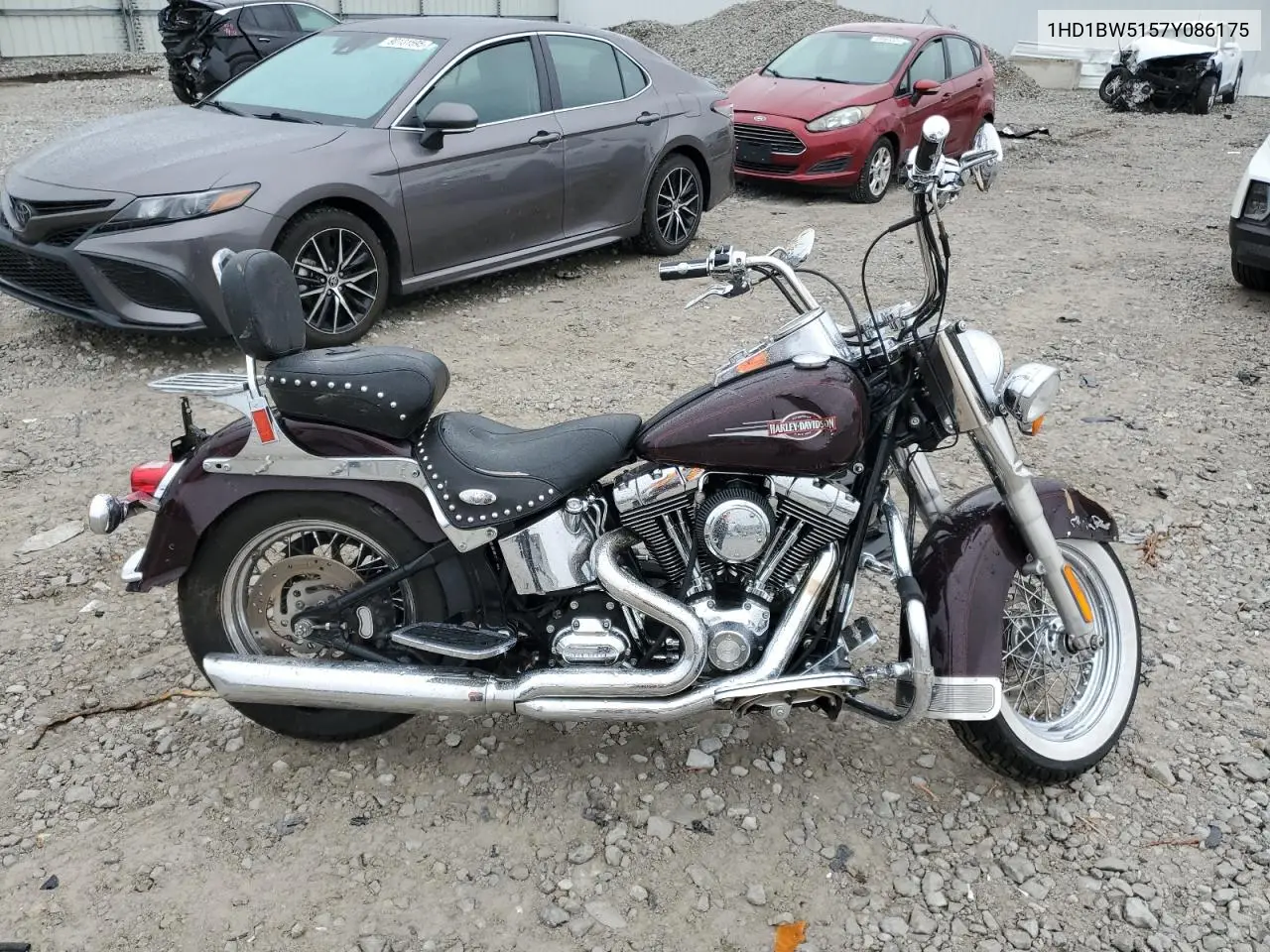 Harley-Davidson fl