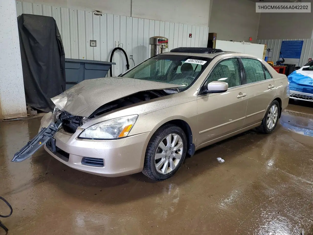 Honda Accord (VII)