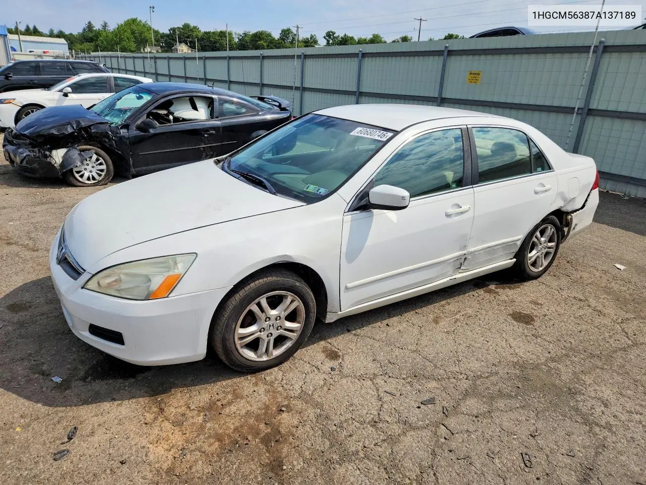Honda Accord (VII)