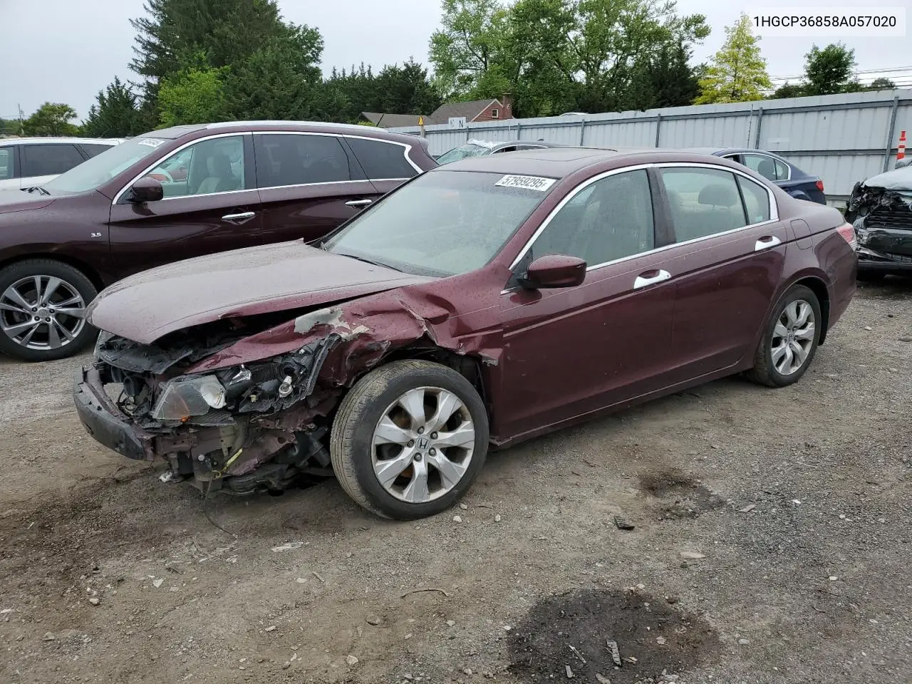 Honda Accord (VII)