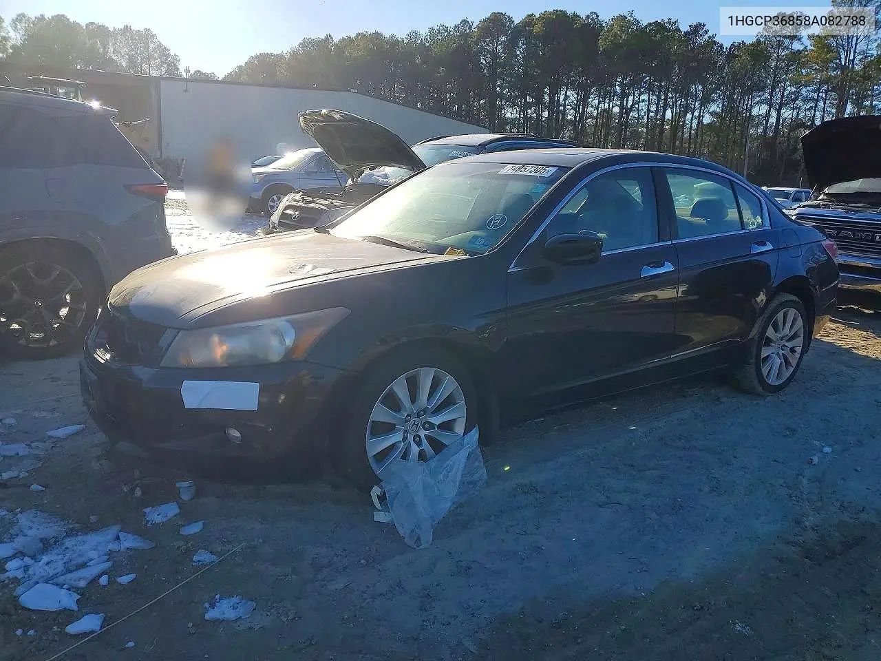 Honda Accord (VII)