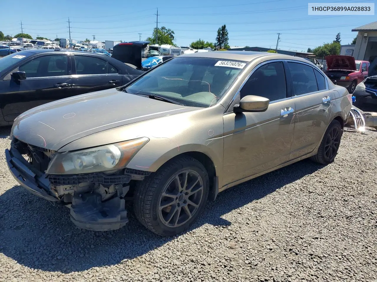 Honda Accord (VIII)