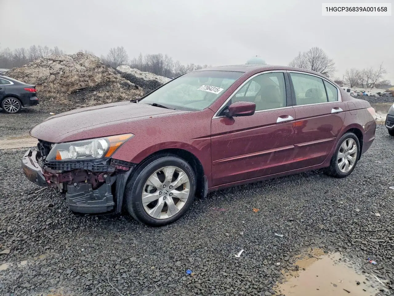 Honda Accord (VIII)