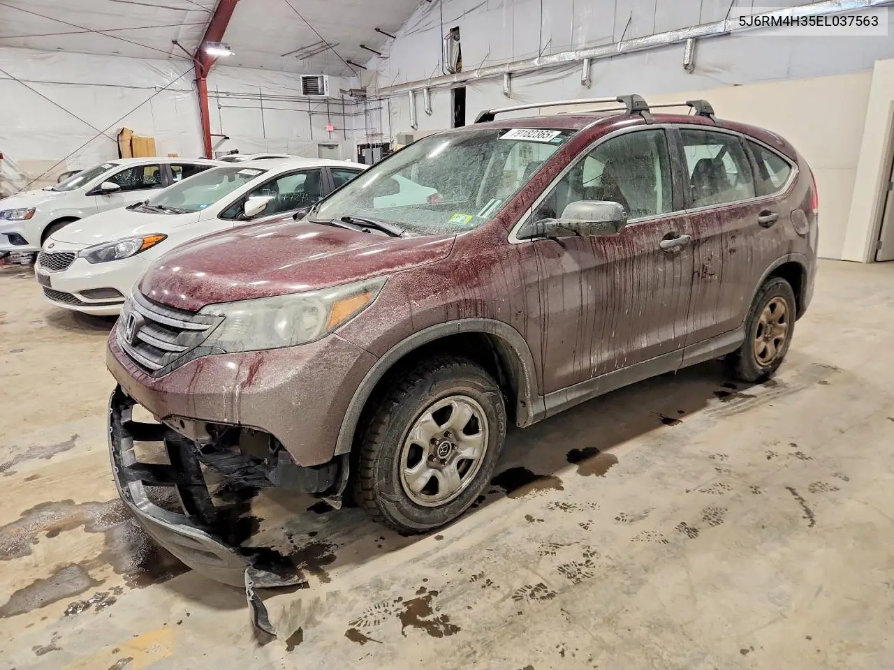 Honda CR-V (IV)