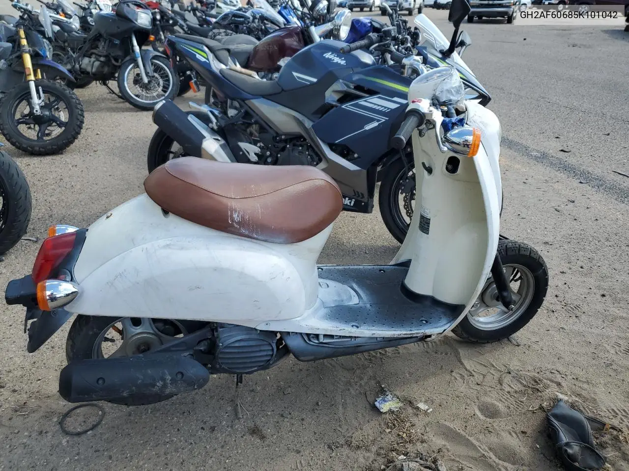 Honda elite