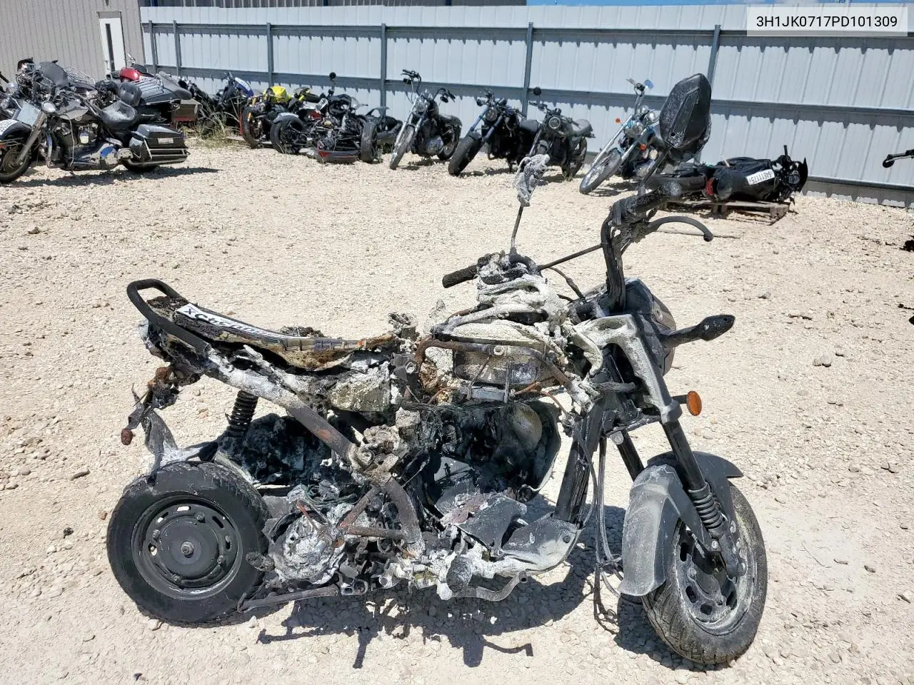 Honda navi
