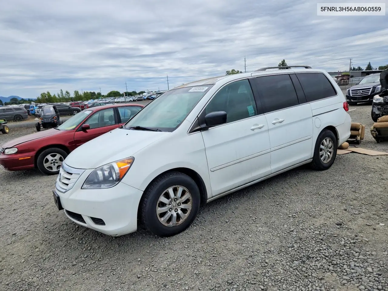 Honda Odyssey (IV)