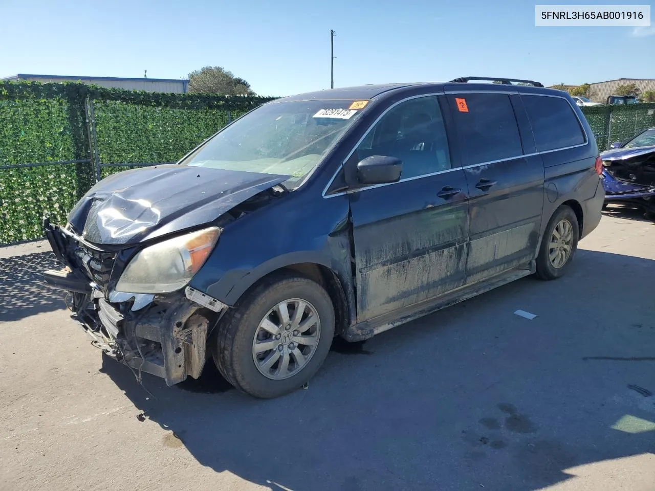 Honda Odyssey (IV)