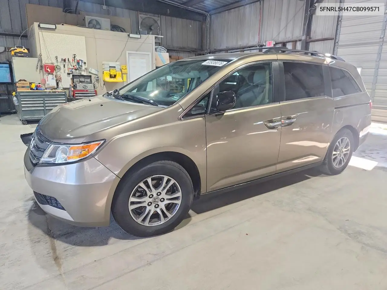 Honda Odyssey (IV)