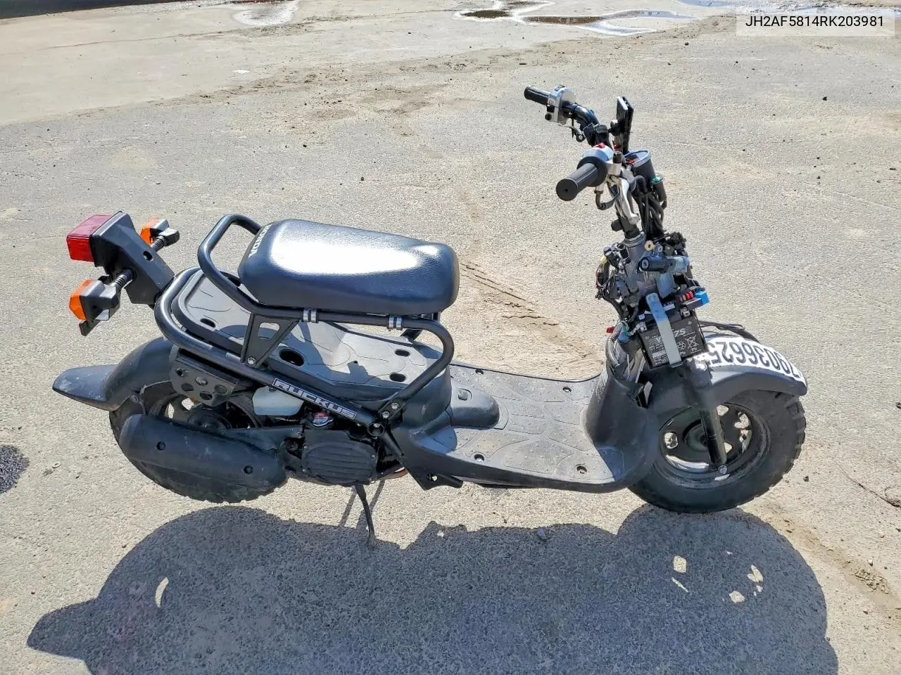 Honda ruckus