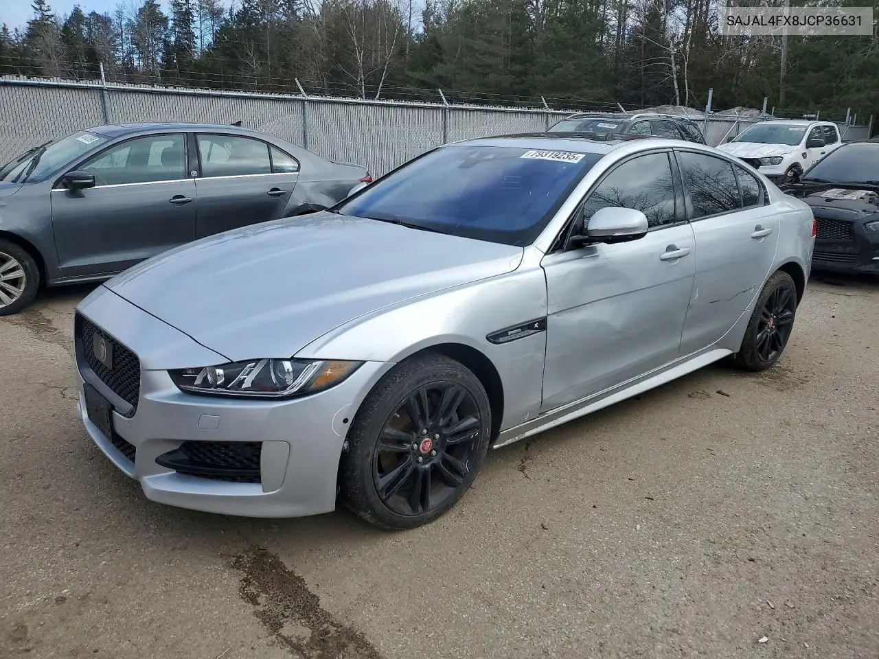 Jaguar