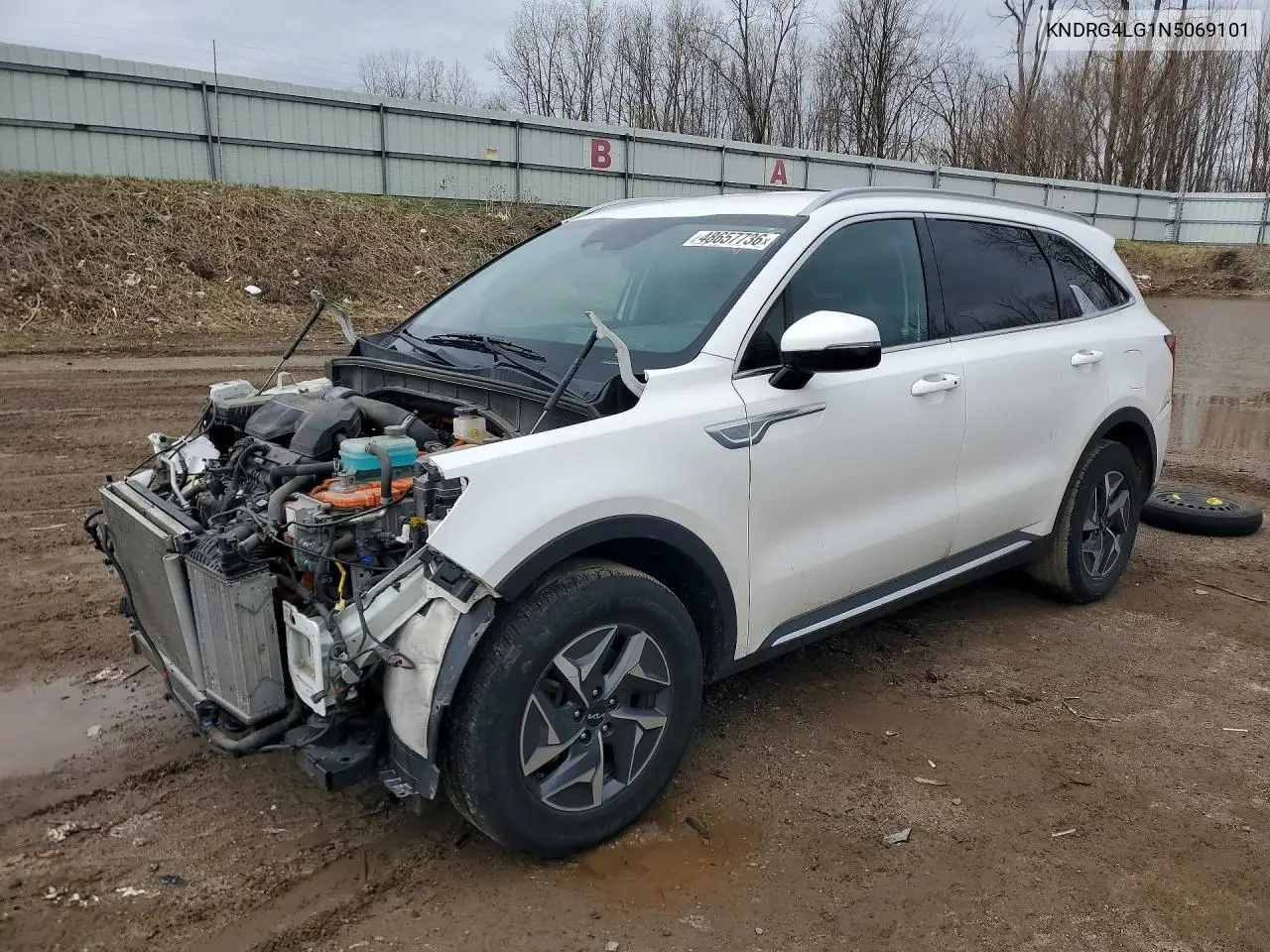 Kia Sorento (IV)
