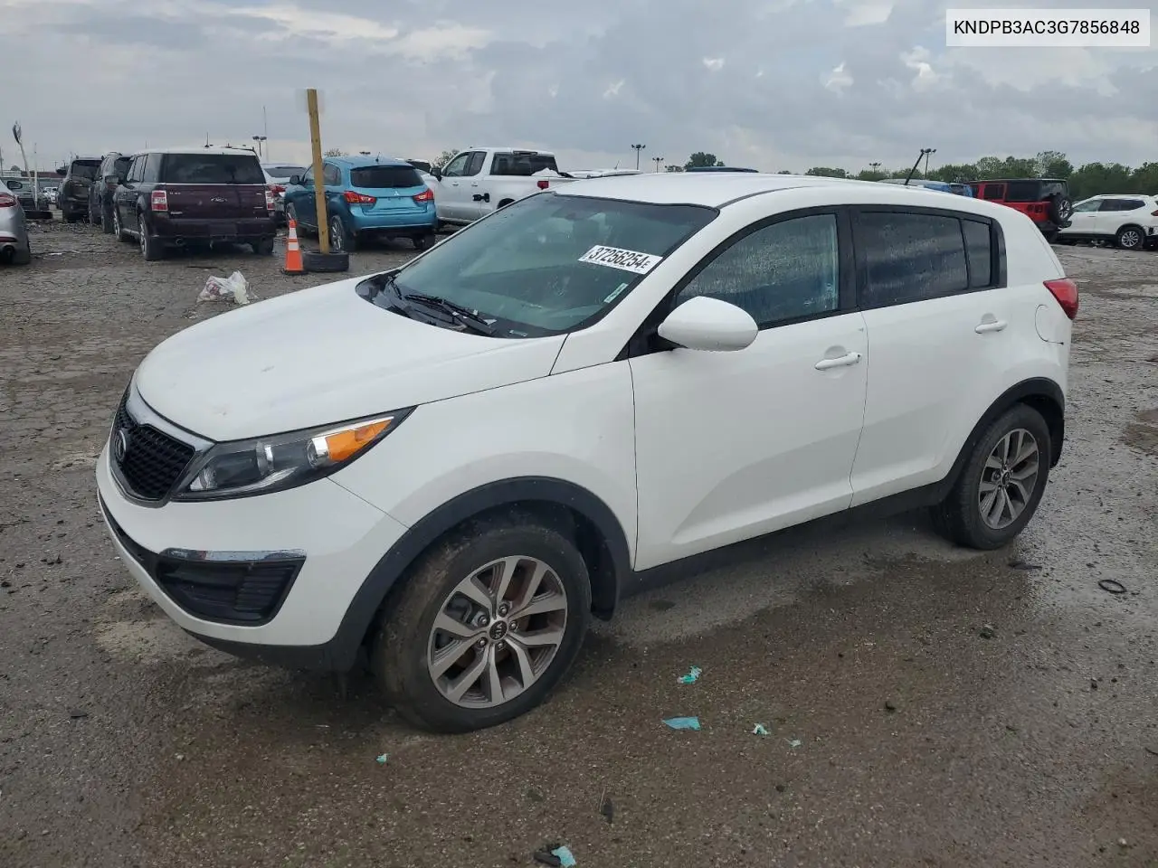 Kia Sportage (III)