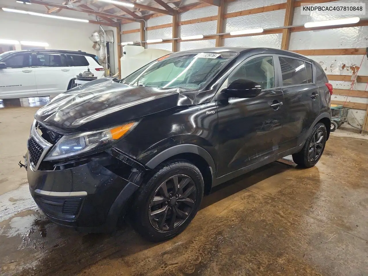 Kia Sportage (III)