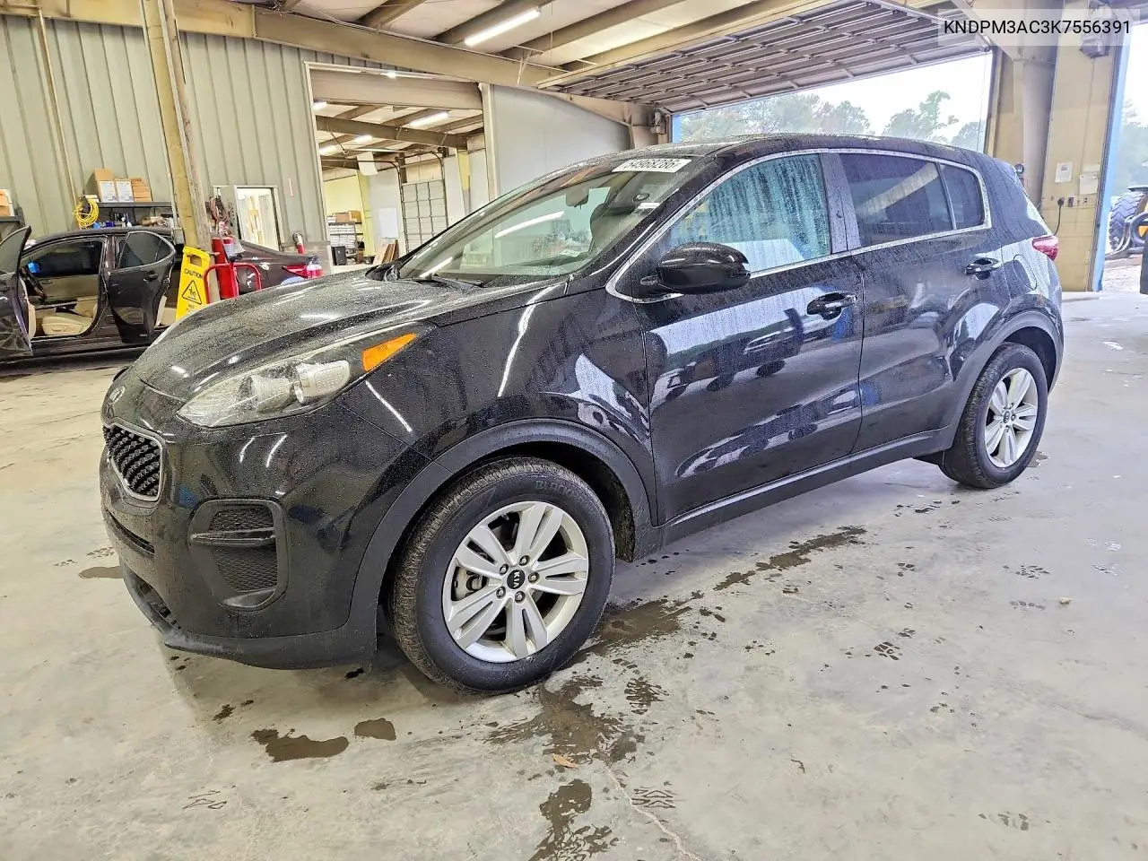 Kia Sportage (IV)