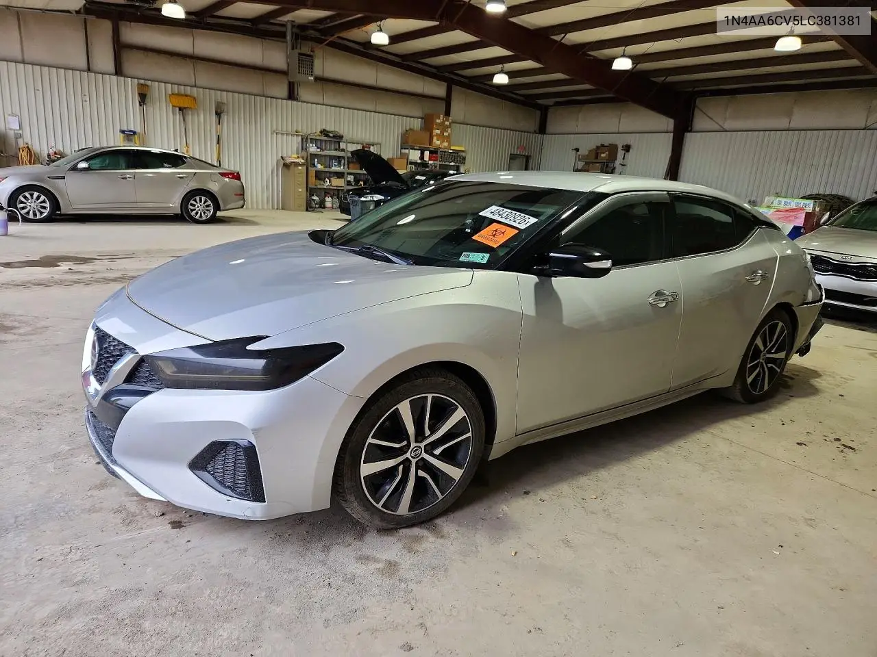 Nissan Maxima (A36)