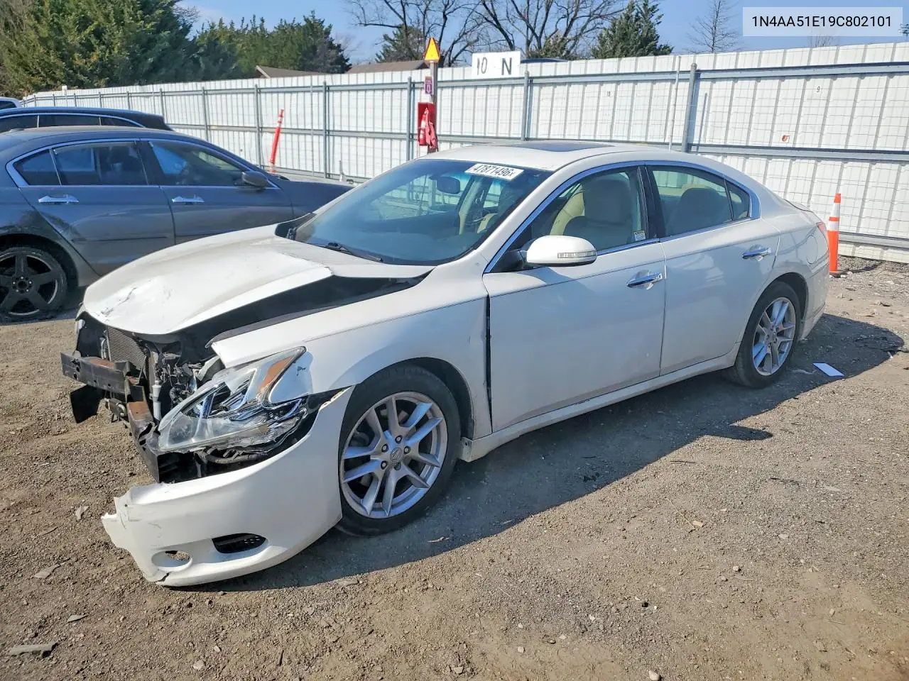 Nissan Maxima (A35)
