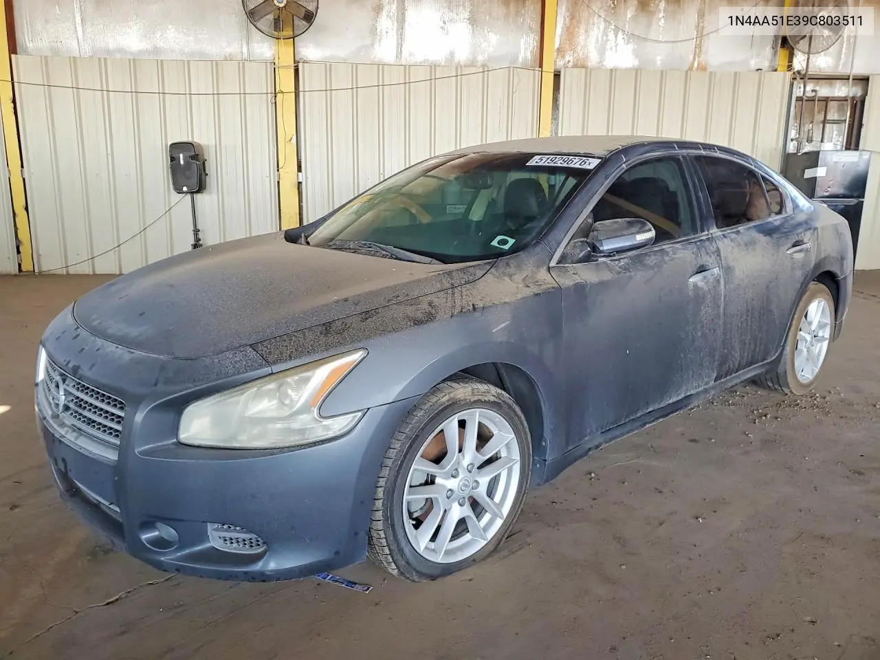 Nissan Maxima (A35)