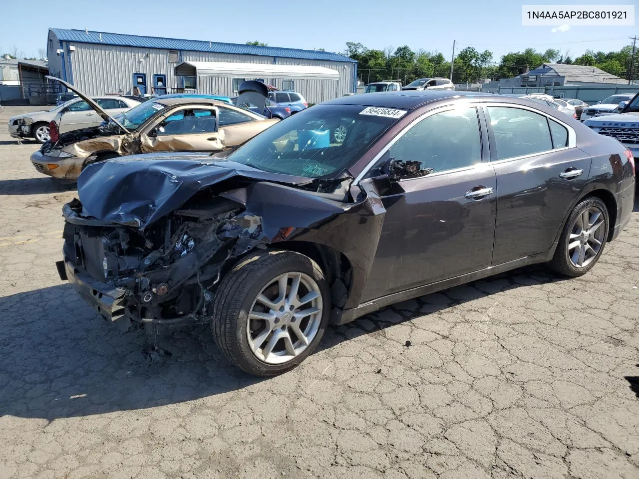 Nissan Maxima (A35)