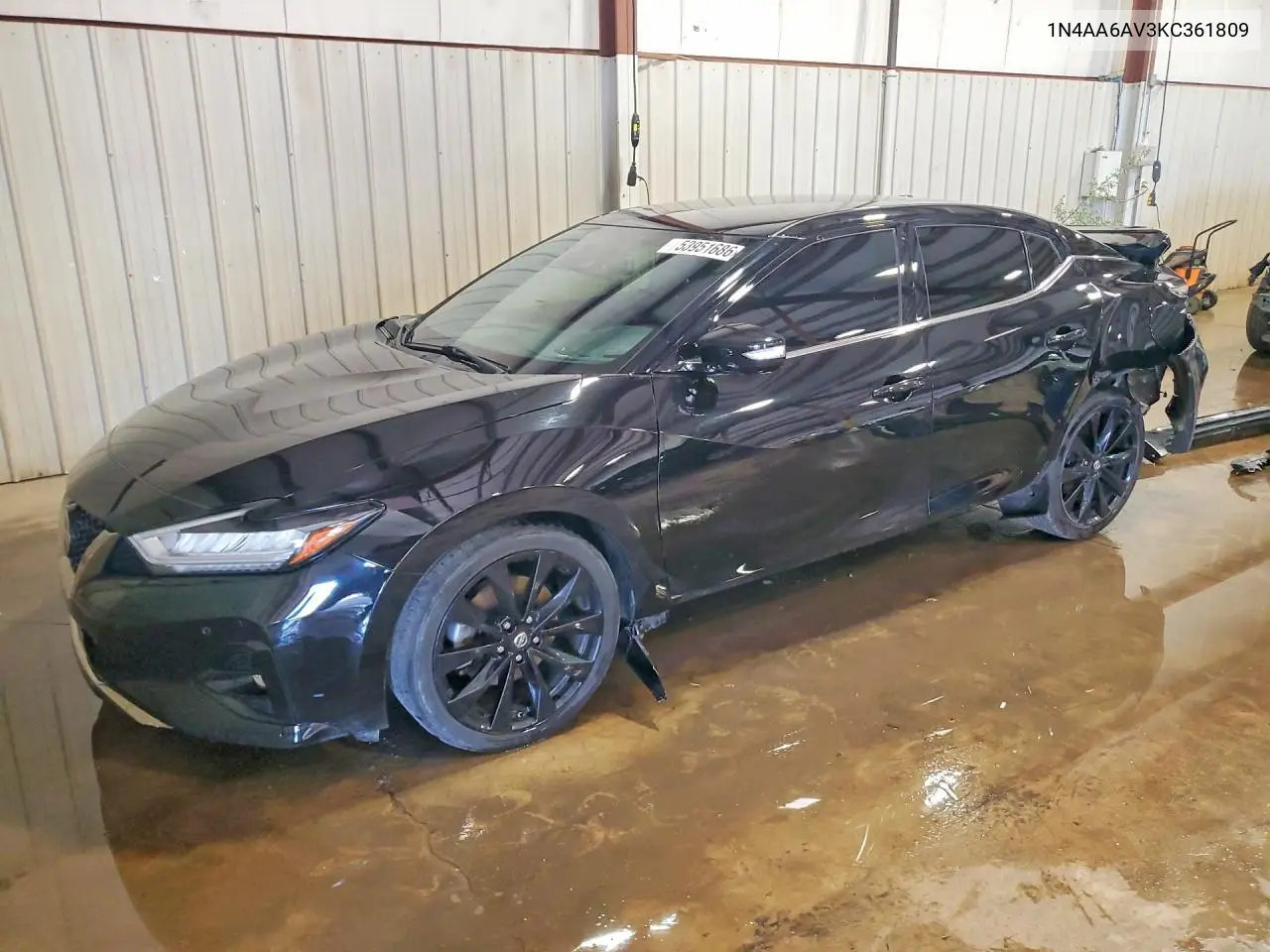 Nissan Maxima (A36)