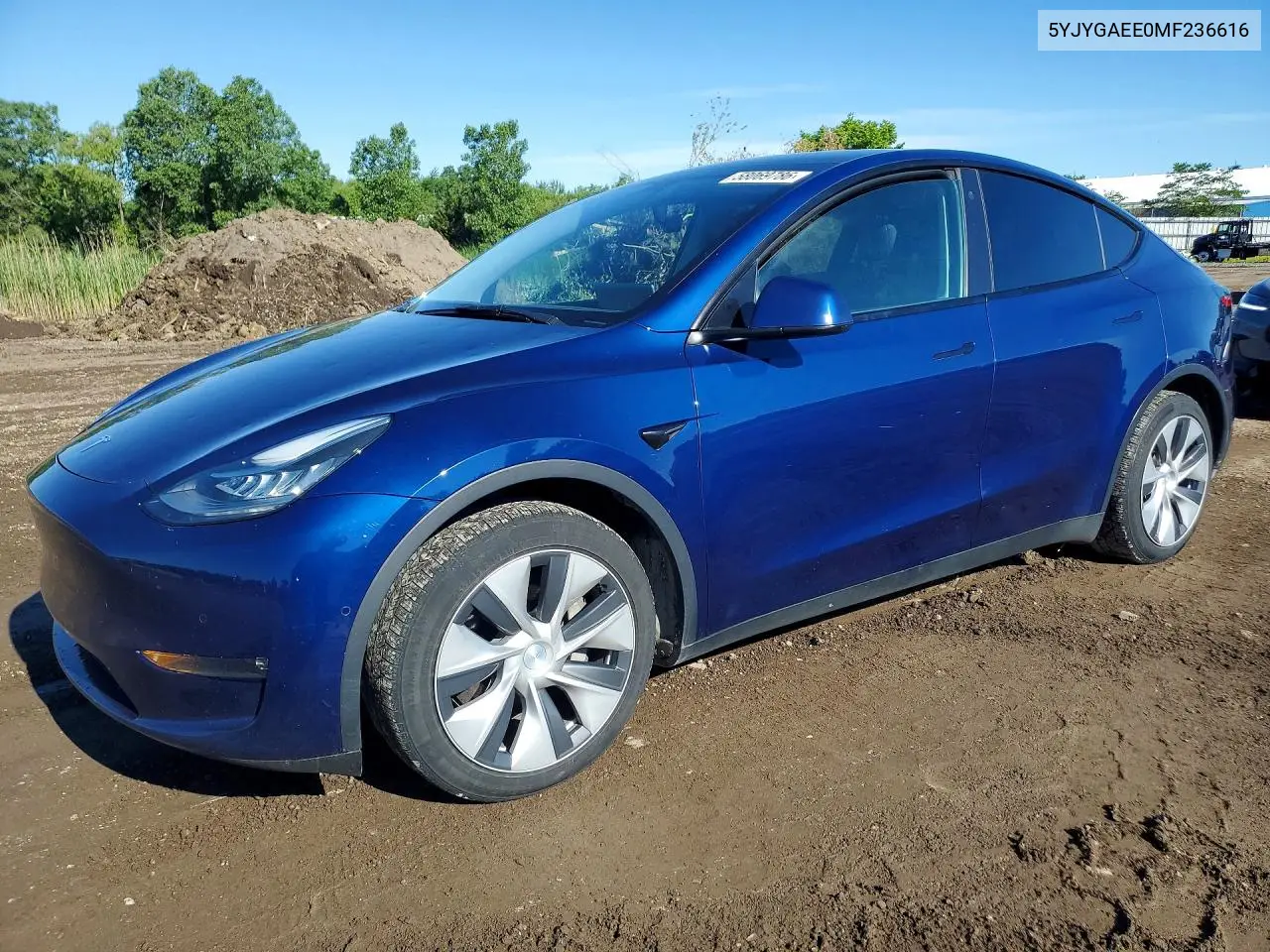 Tesla Model Y (I)
