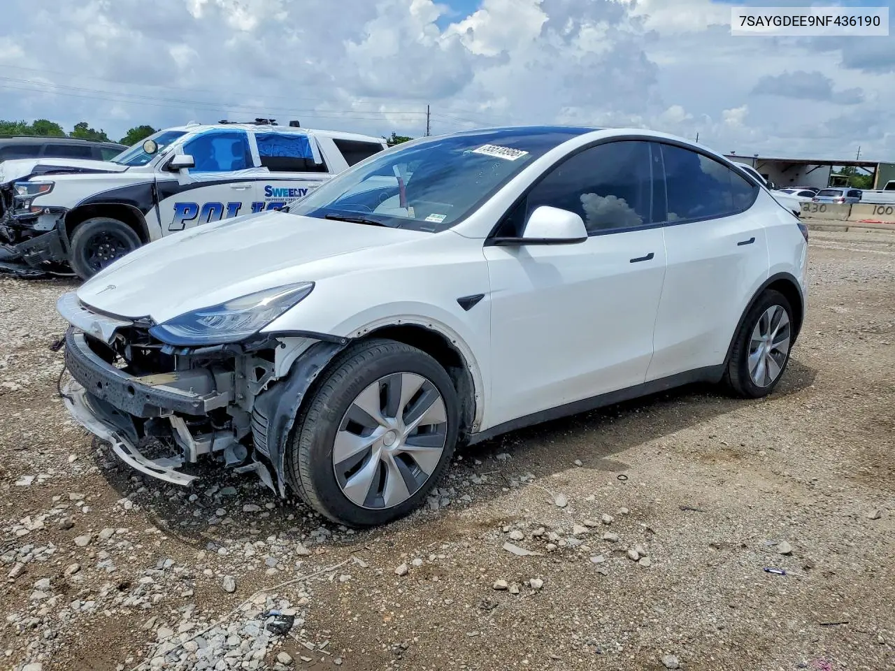 Tesla Model Y (I)