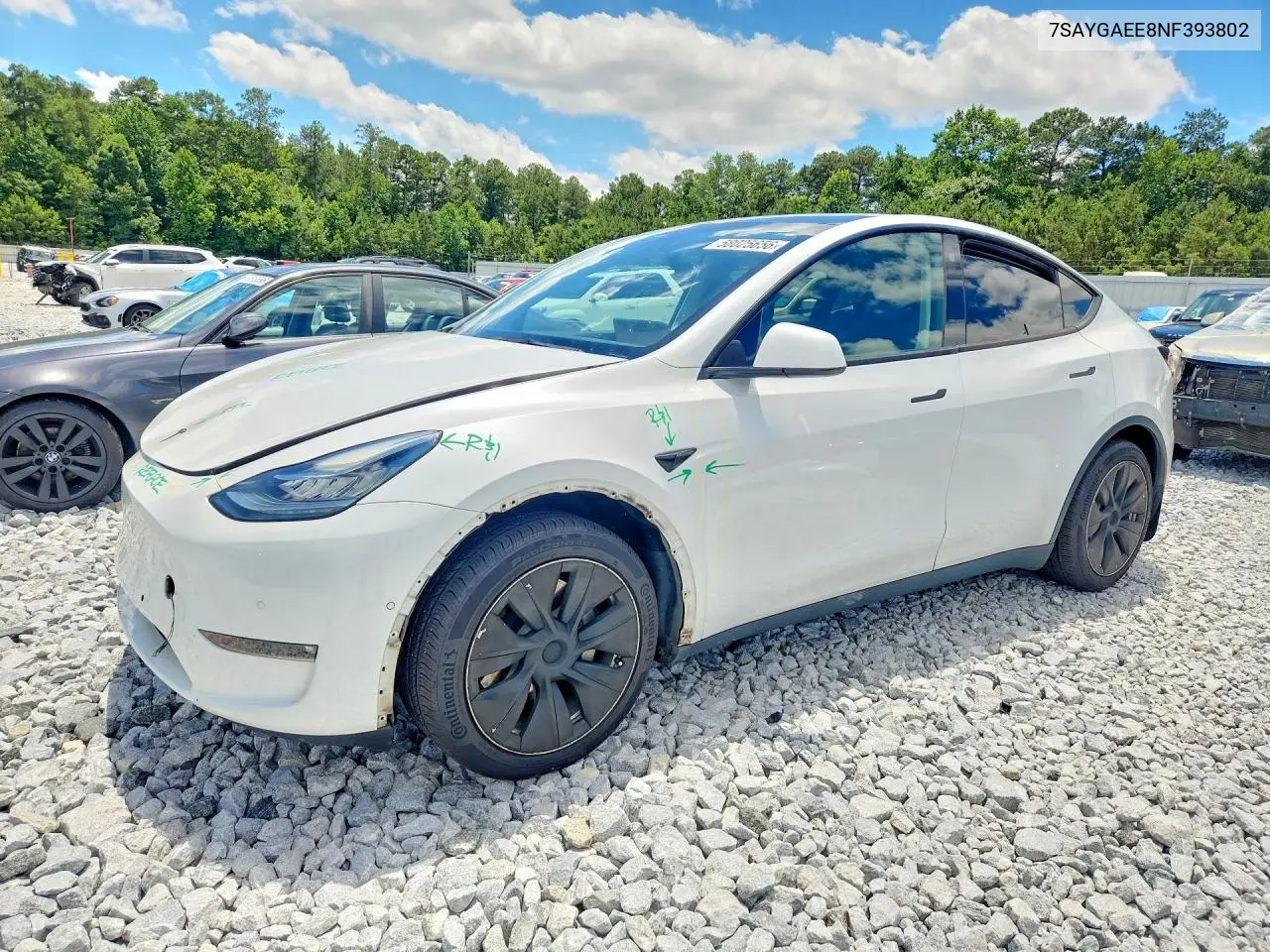 Tesla Model Y (I)