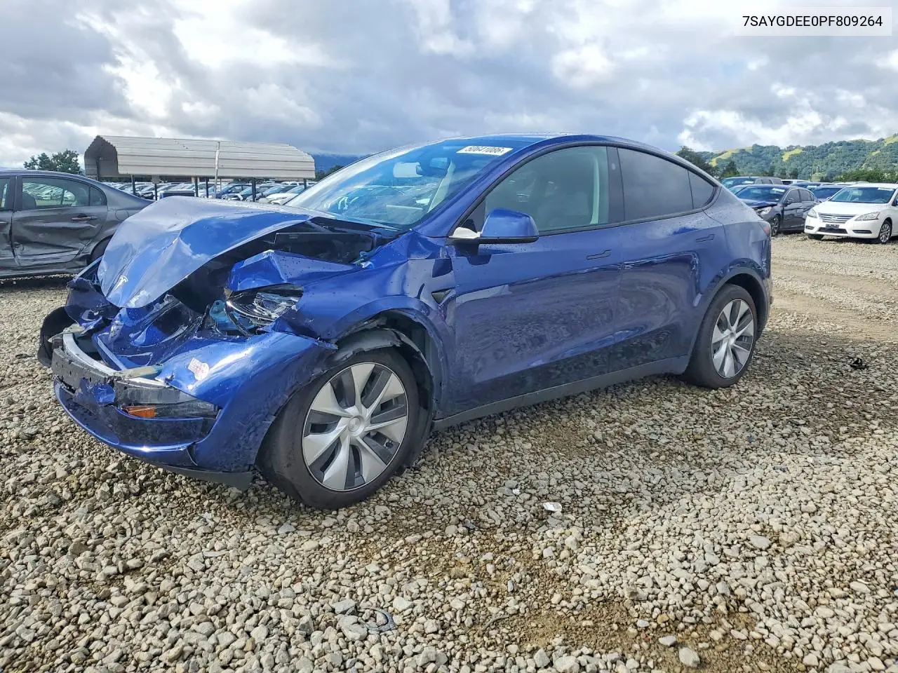 Tesla Model Y (I)