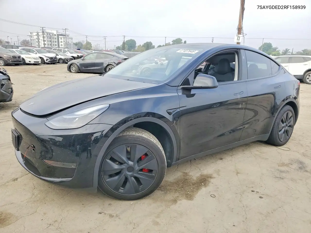 Tesla Model Y (I)
