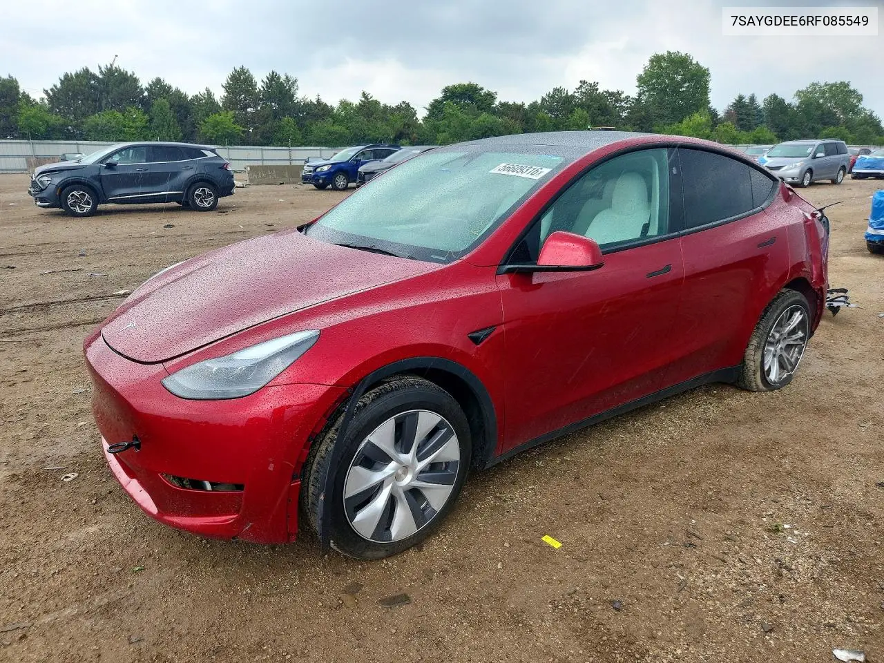 Tesla Model Y (I)