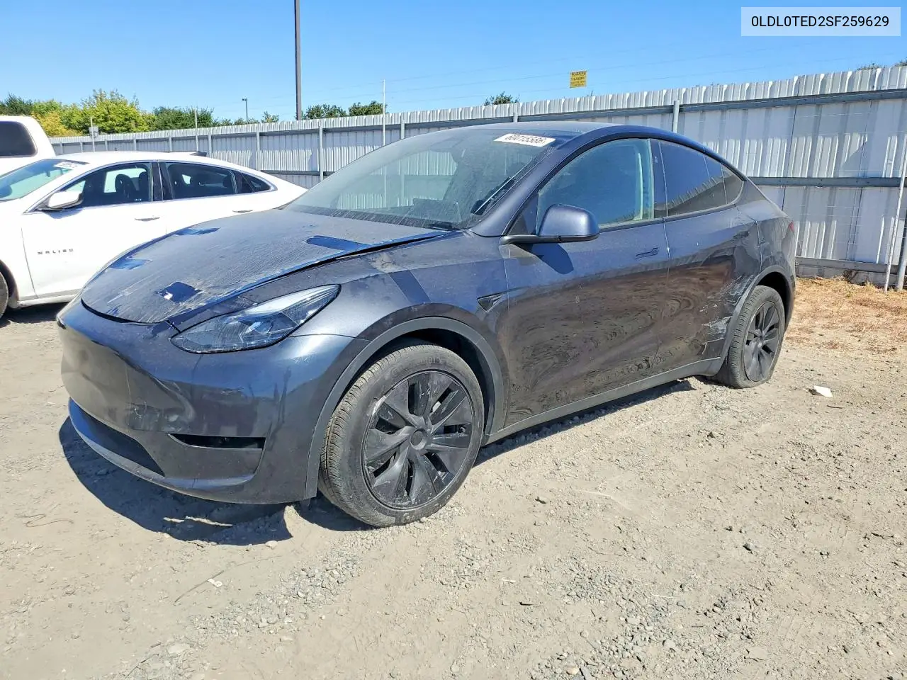 Tesla Model Y (I)