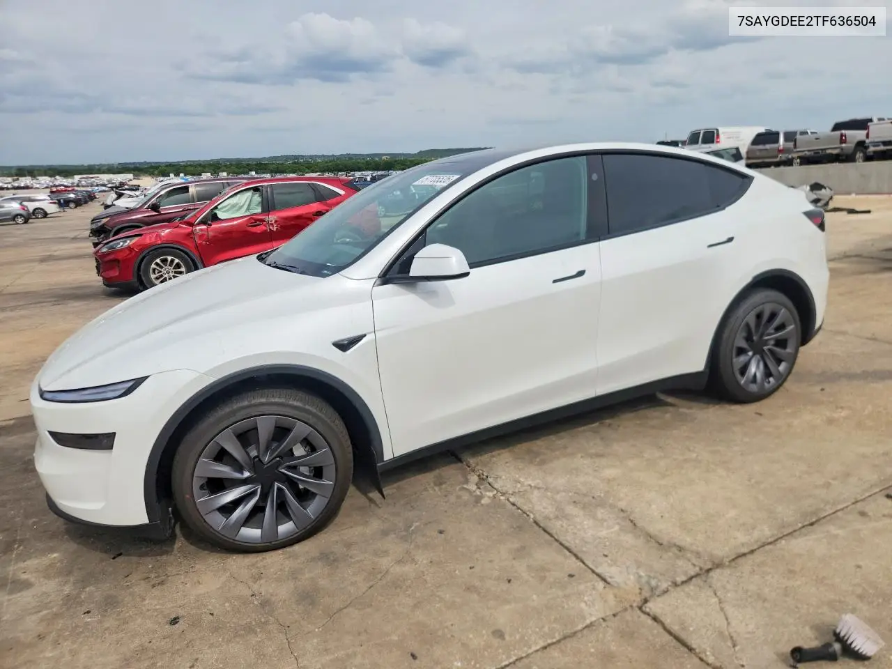 Tesla Model Y (I)