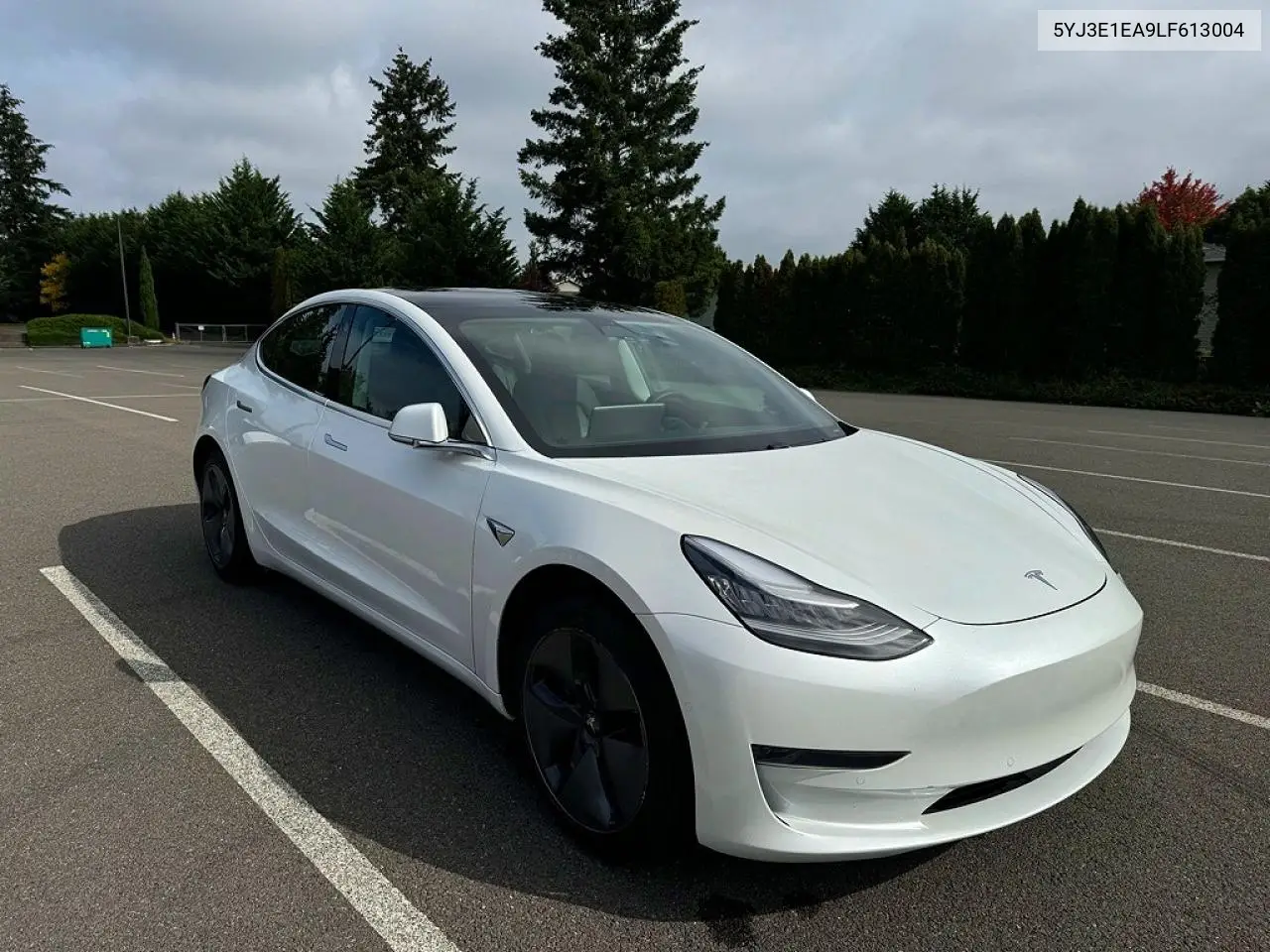 Tesla Model 3 (I)