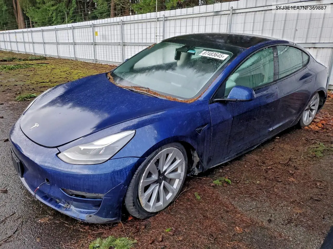 Tesla Model 3 (I)