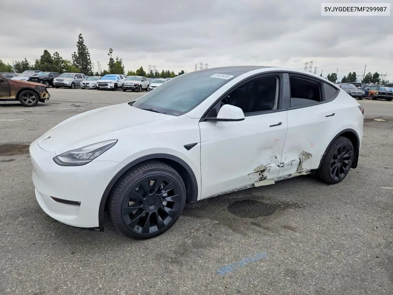 Tesla Model Y (I)