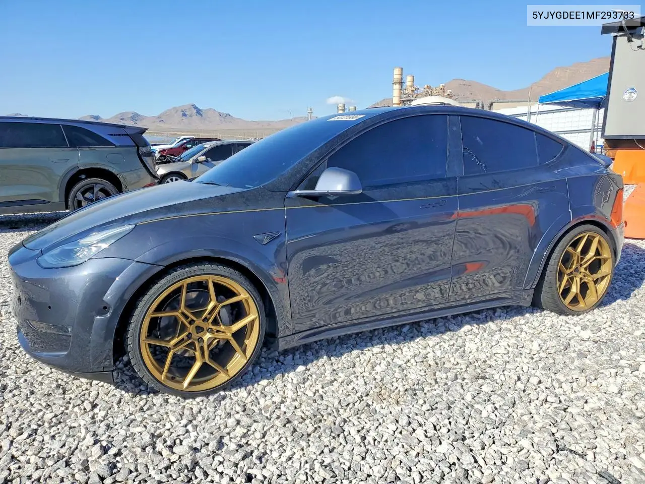 Tesla Model Y (I)