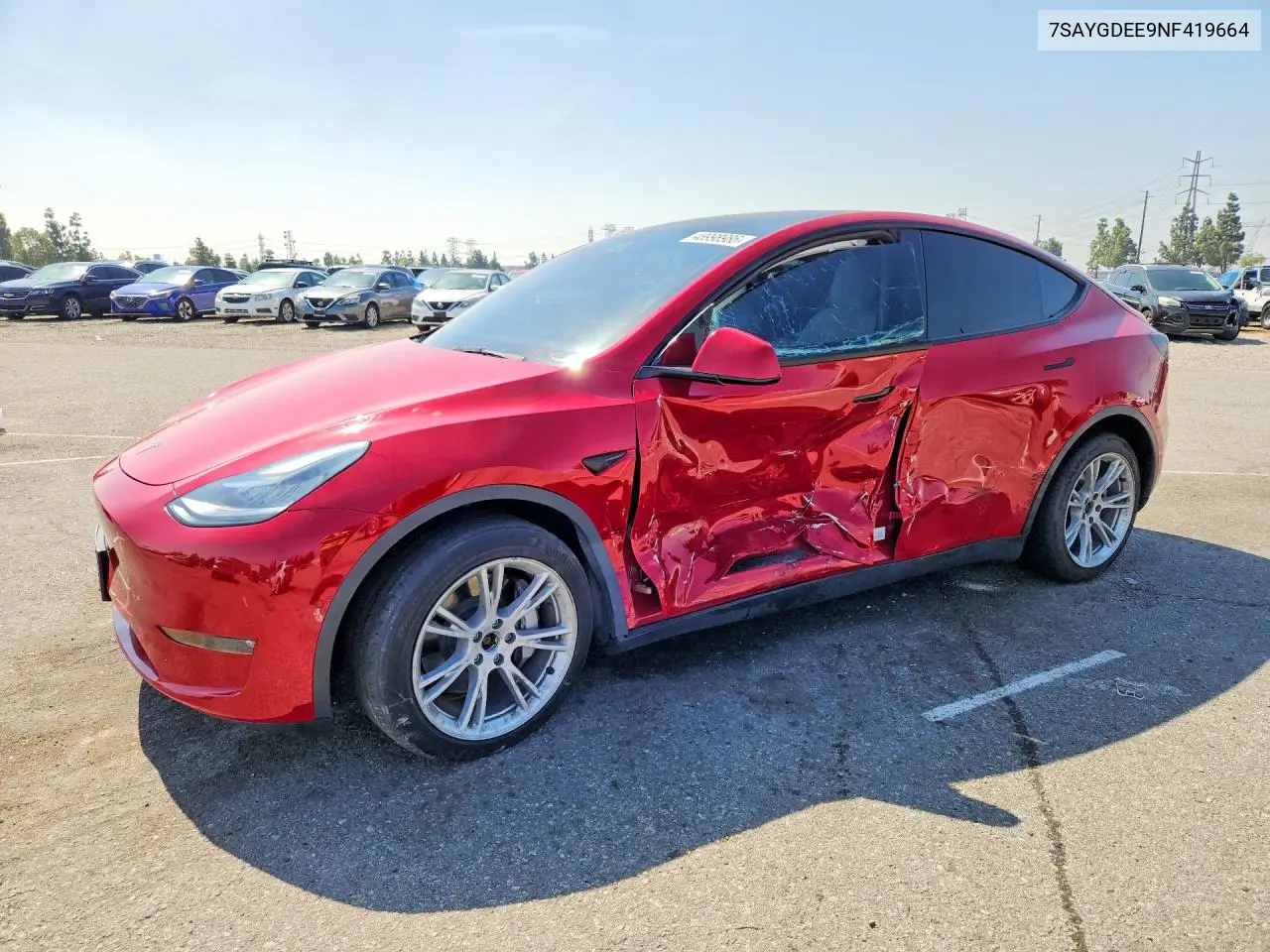 Tesla Model Y (I)