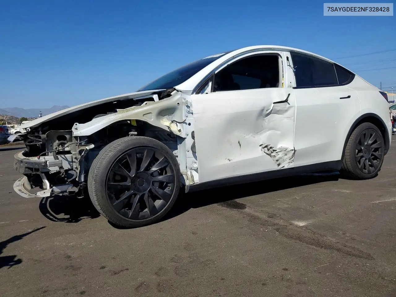 Tesla Model Y (I)