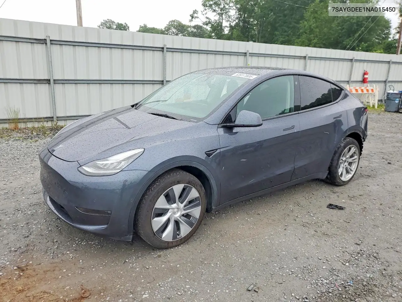Tesla Model Y (I)