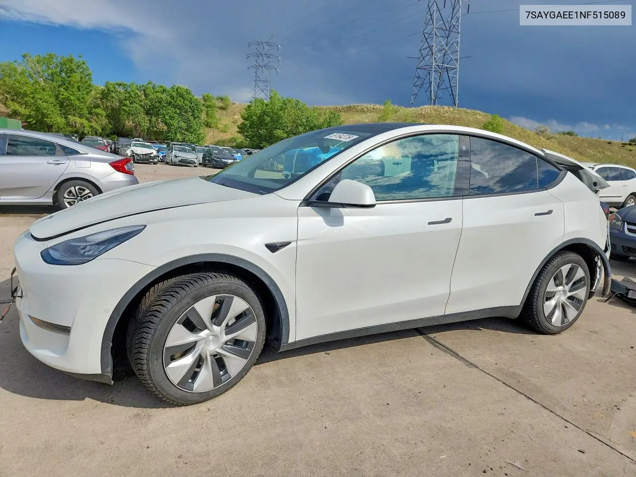 Tesla Model Y (I)