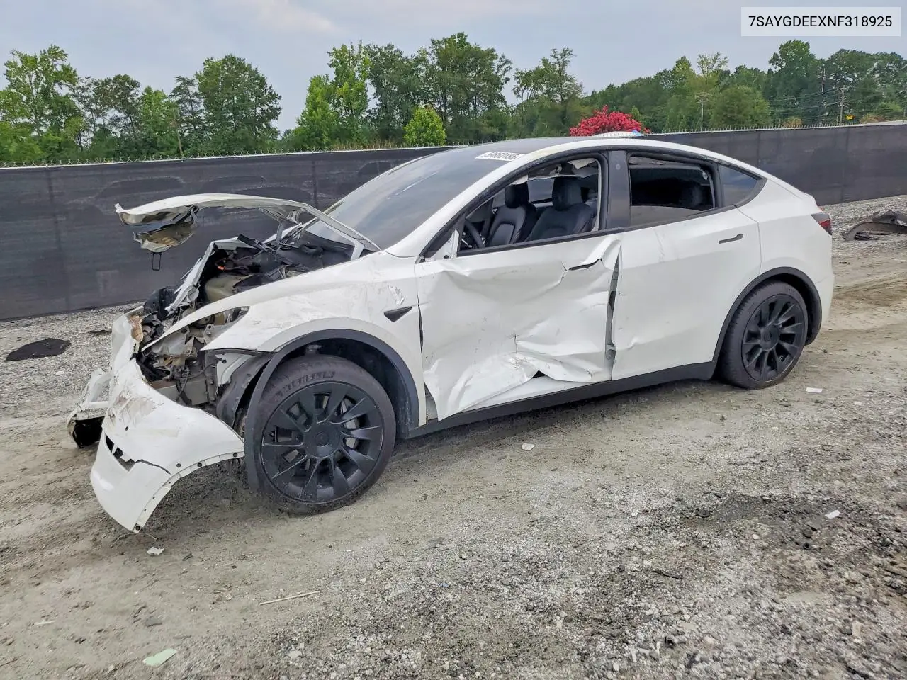 Tesla Model Y (I)