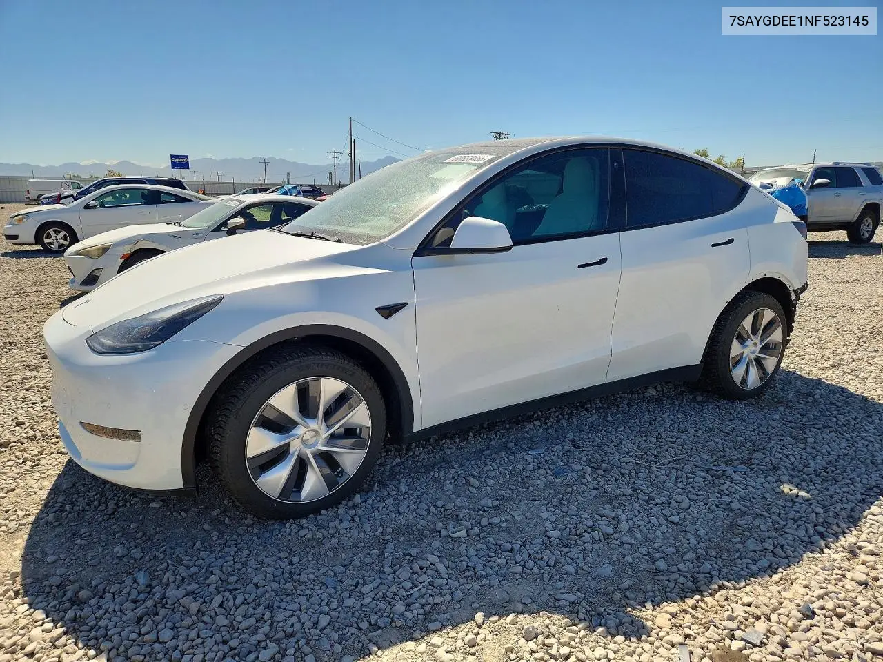 Tesla Model Y (I)