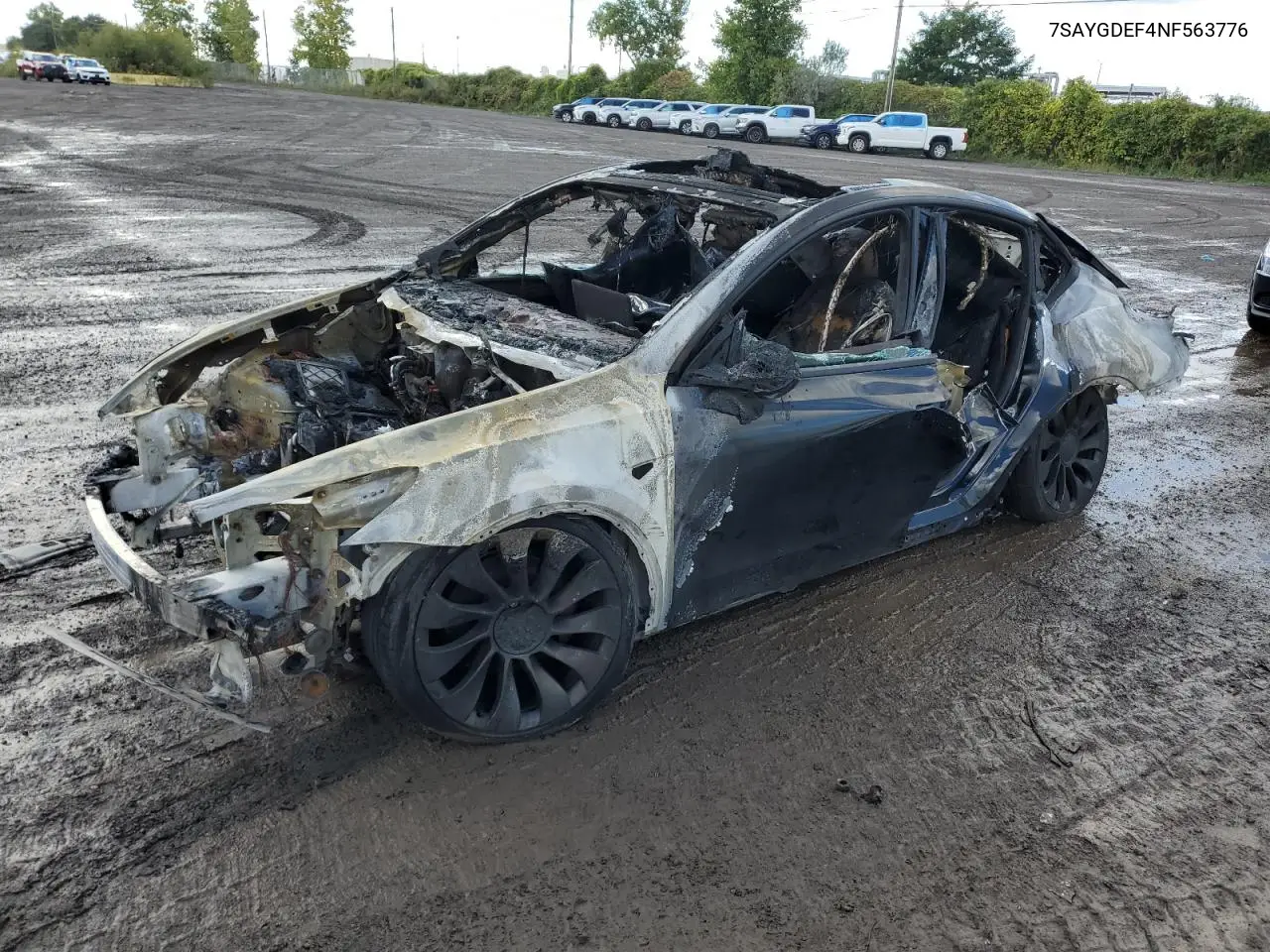 Tesla Model Y (I)