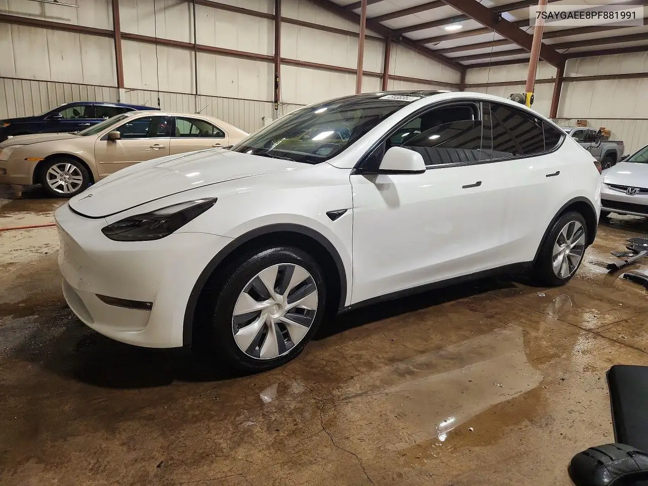 Tesla Model Y (I)
