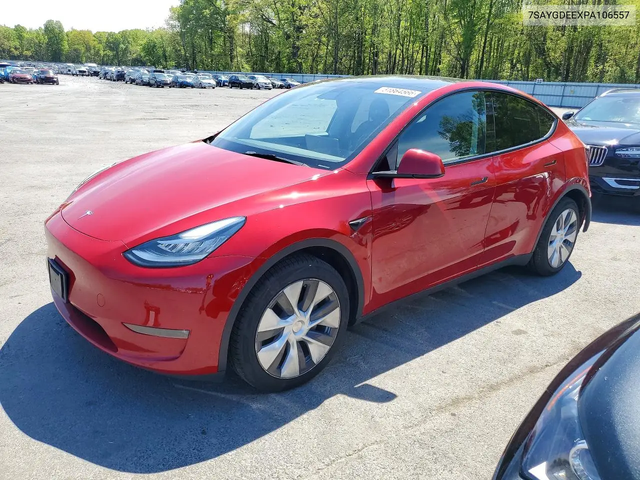 Tesla Model Y (I)