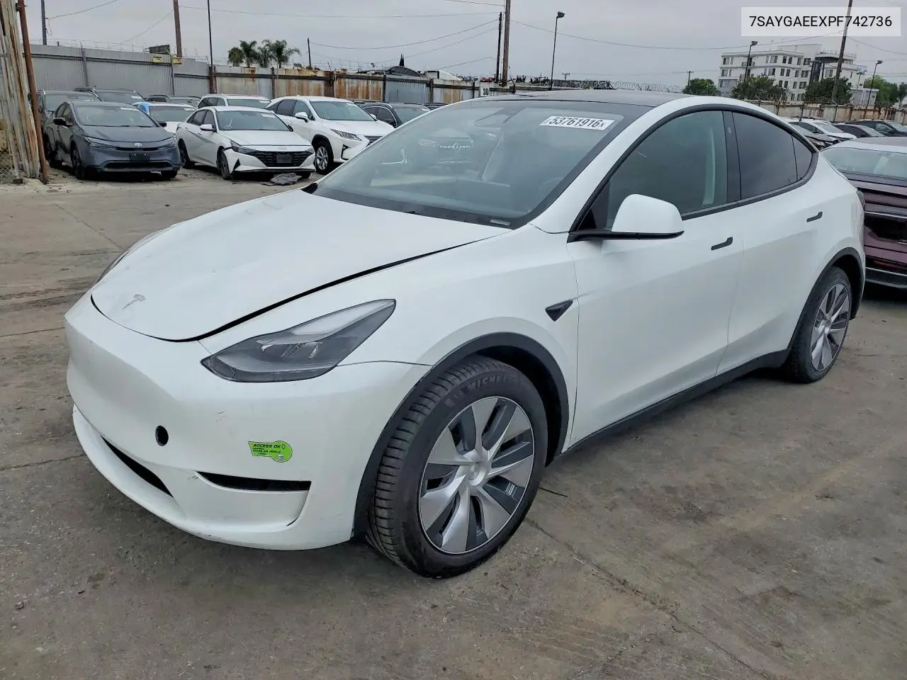 Tesla Model Y (I)